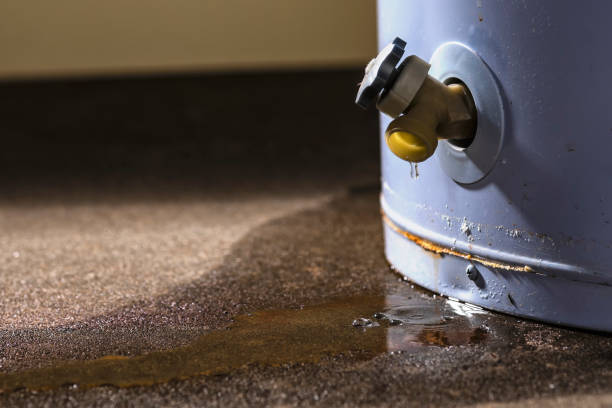 Best Flood restoration services  in Shell Ridge, CA
