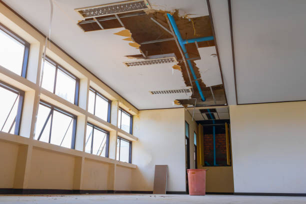 Best 24/7 water damage repair  in Shell Ridge, CA