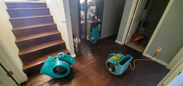 Best Flood damage cleanup  in Shell Ridge, CA