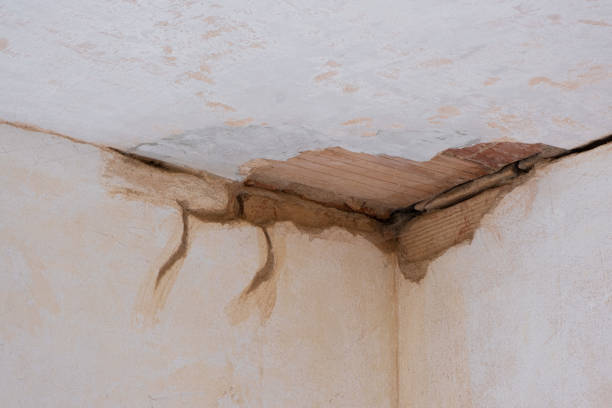 Best Sewage cleanup and water damage restoration  in Shell Ridge, CA