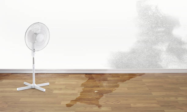 Best Flood restoration services  in Shell Ridge, CA