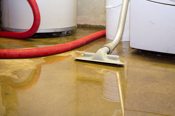 Local water damage restoration in Shell Ridge, CA