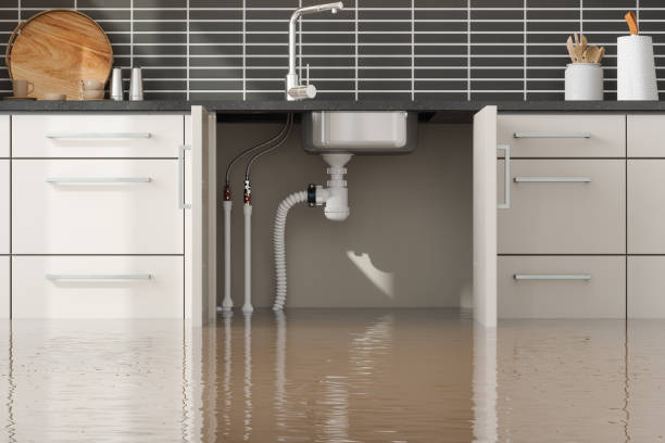 Sewage cleanup and water damage restoration in Shell Ridge, CA