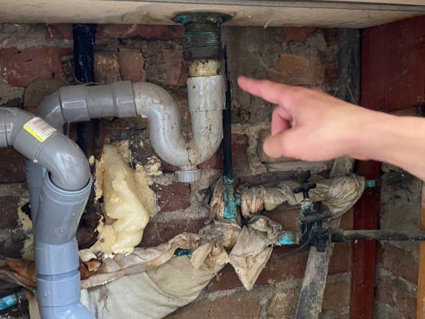 Best Basement water damage restoration  in Shell Ridge, CA