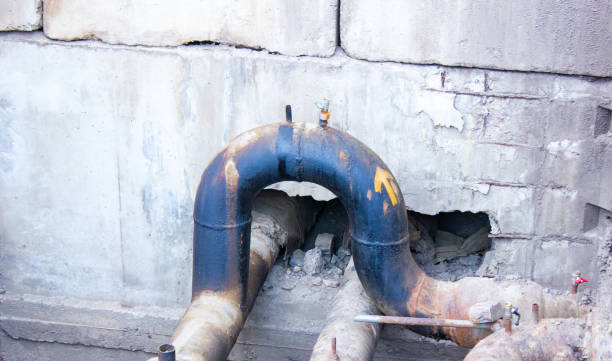 Best Water damage repair service  in Shell Ridge, CA