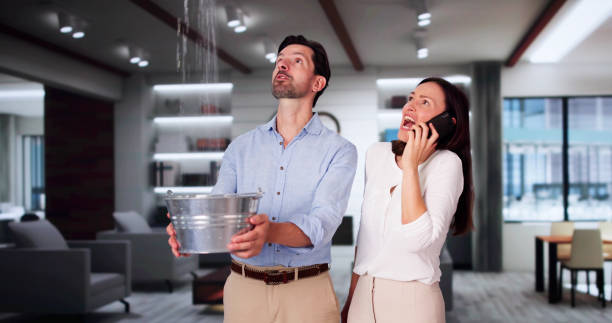 Best Professional water damage repair  in Shell Ridge, CA