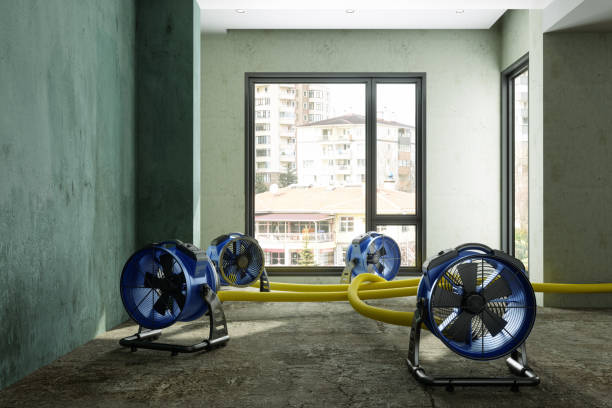 Best Emergency water damage restoration  in Shell Ridge, CA